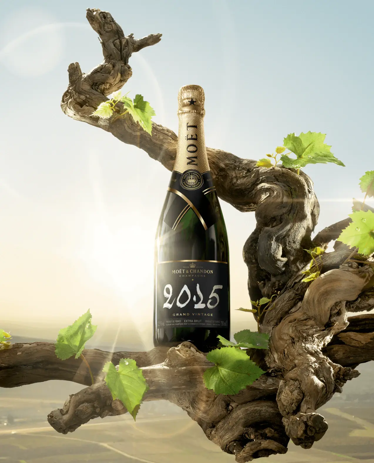 CHAMPAGNE MOET and CHANDON